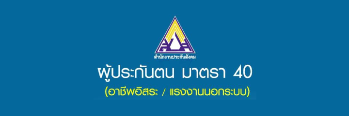 Section 40 Insured Persons